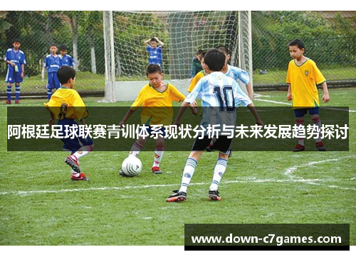 阿根廷足球联赛青训体系现状分析与未来发展趋势探讨